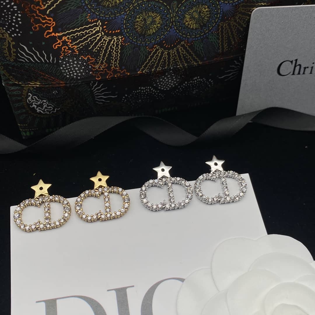 Fake Chr1st1an D10r Logo Earring