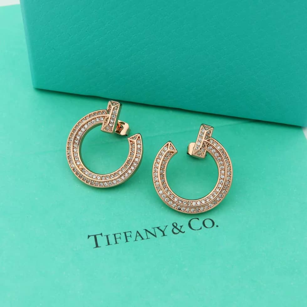 Luxury T*f*ny Classic AAA+ Earring