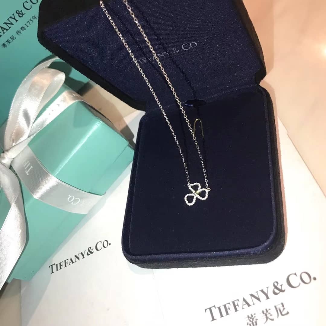T*f*ny Necklace Copy