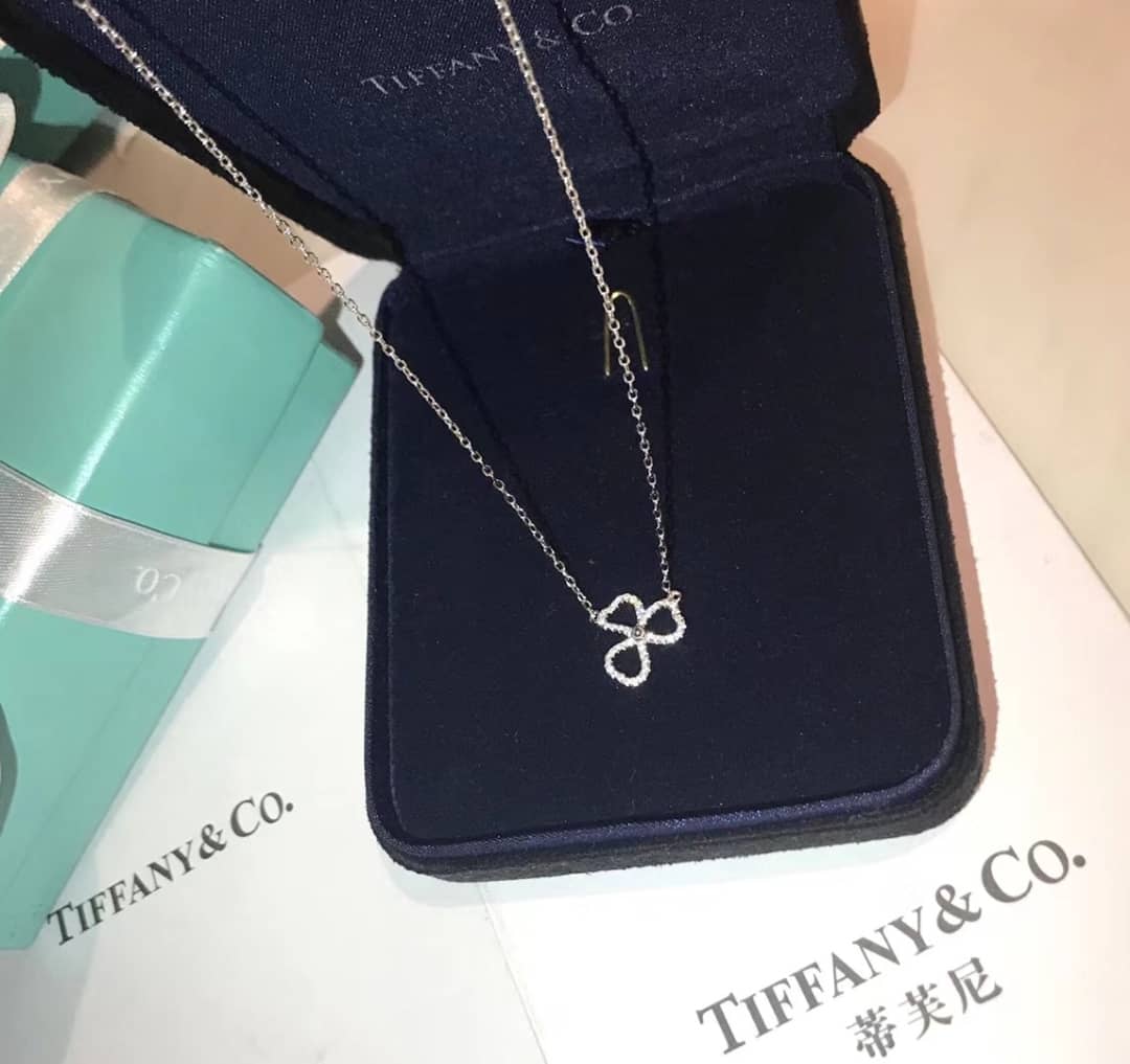 T*f*ny Necklace Copy