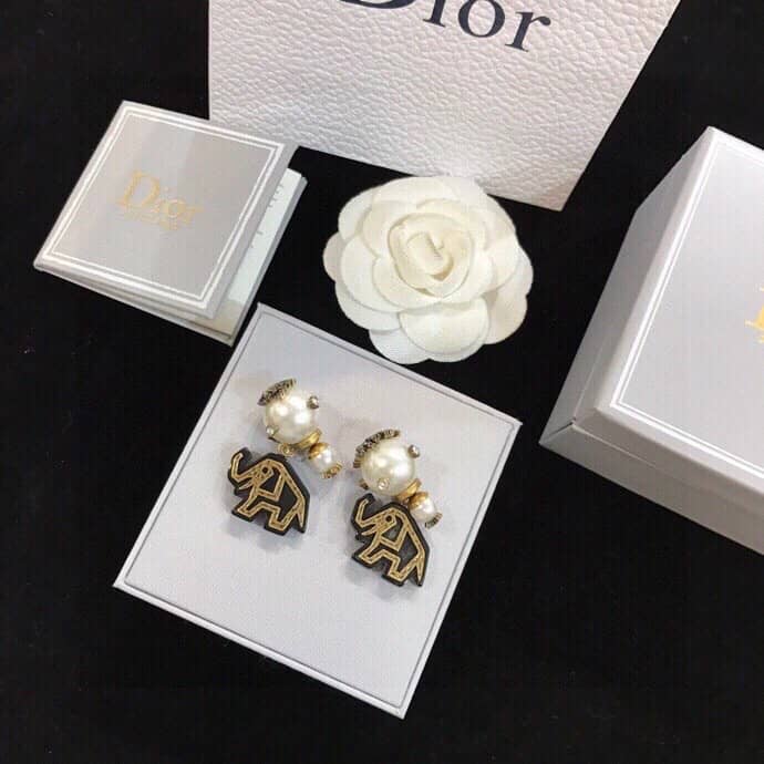 Luxury Chr1st1an D10r Classic AAA+ Earring