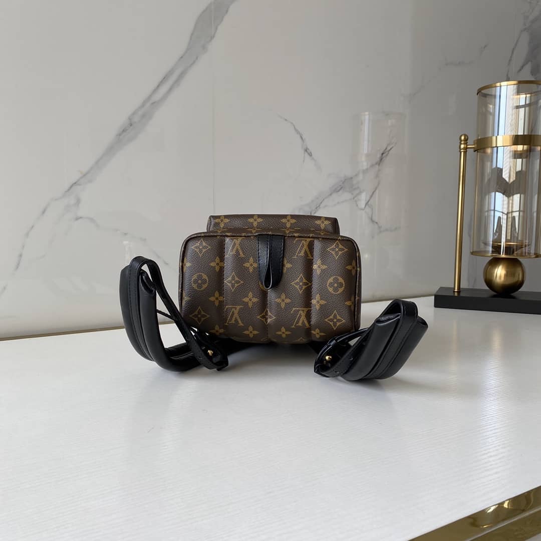 L0vis Vvtt0n Monogram Palm Springs PM Replica Backpack M41560