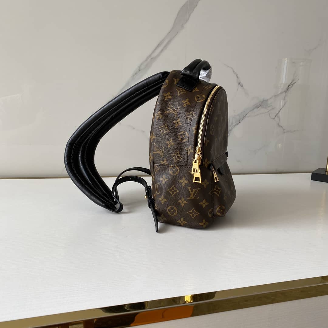 L0vis Vvtt0n Monogram Palm Springs PM Replica Backpack M41560