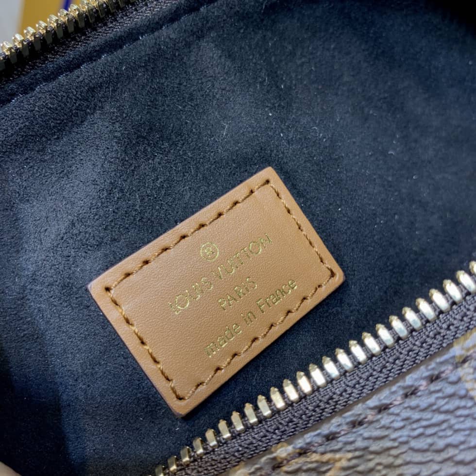 L0vis Vvtt0n Loop Monogram Reverse Coated Canvas M46311 Replica Hobo