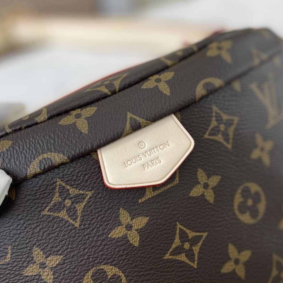 LV Bum Bag Dupe New Monogram  Brown M43644