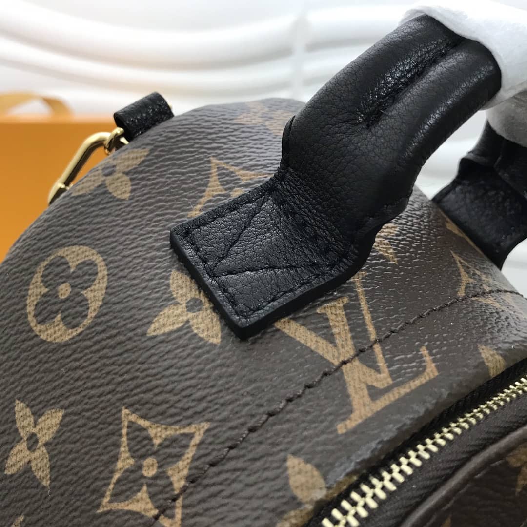 L0vis Vvtt0n Palm Springs Mini Replica Backpack Brown M44873