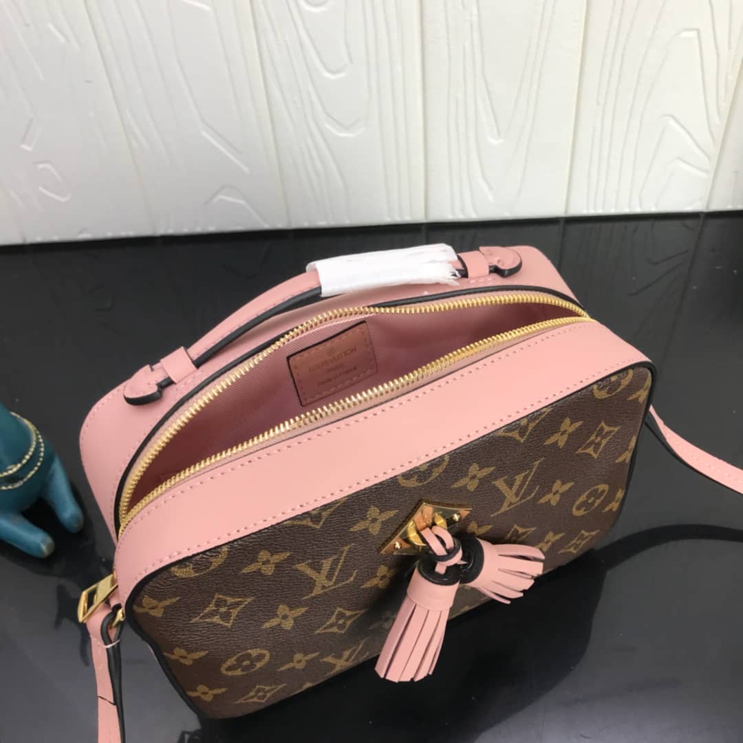 L0vis Vvtt0n Canvas Saintonge Replica Camera Bag Pink M43555