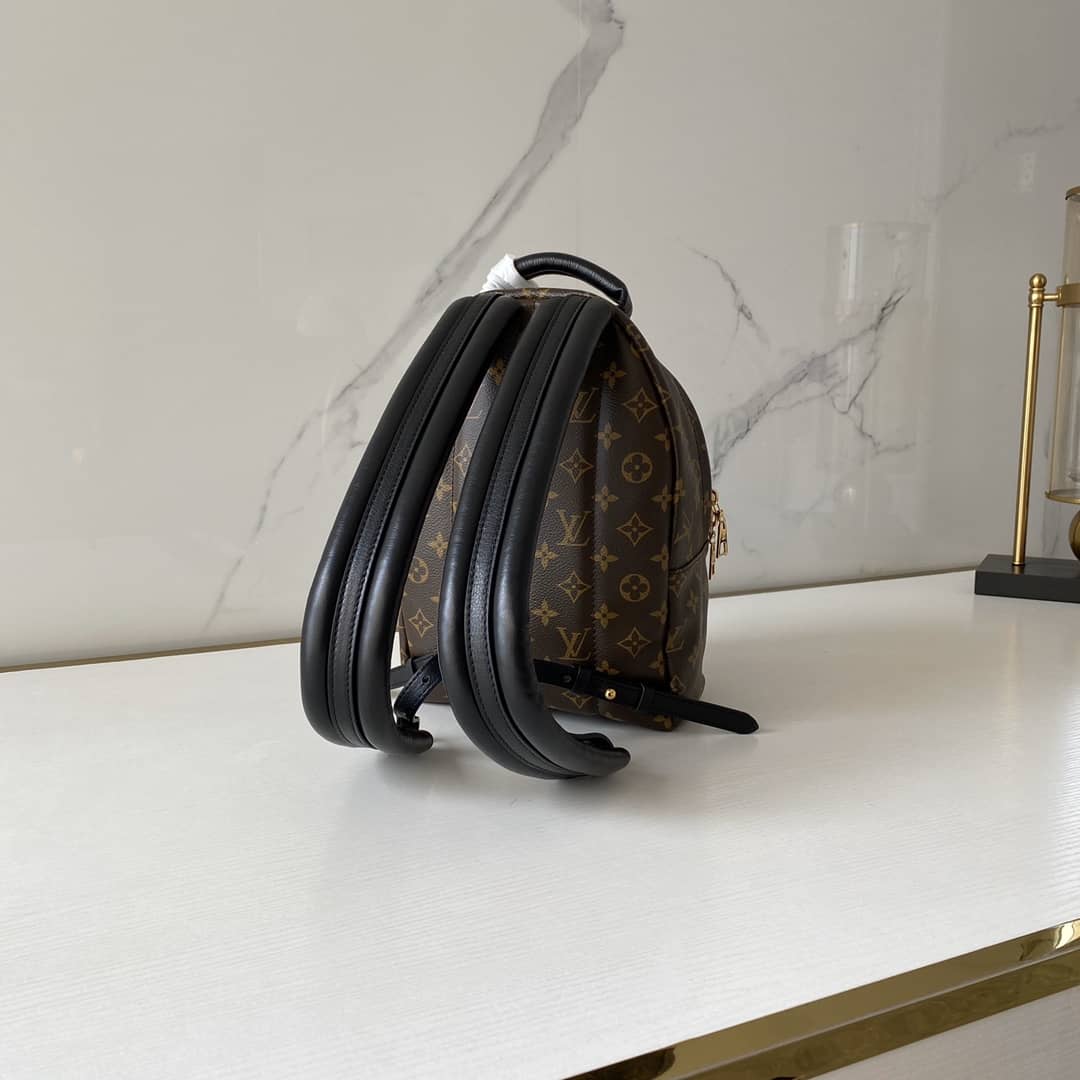 L0vis Vvtt0n Monogram Palm Springs PM Replica Backpack M41560