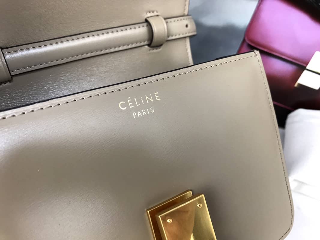 Ce1i*e Box Bag Dupe Teen Classic Calfskin Box Replica Handbag