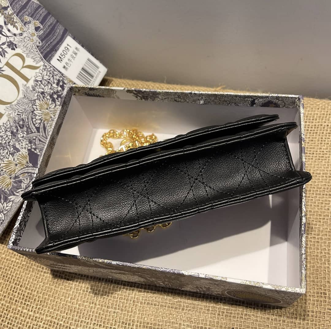 Chr1st1an D10r Caro Chain Belt Replica Pouch