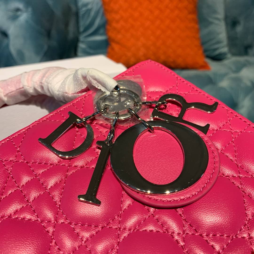 Chr1st1an D10r Lady D10r 20CM Replica Bag