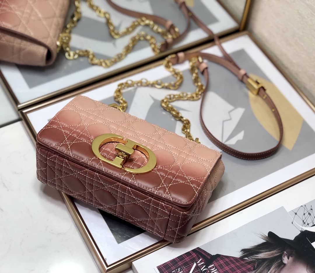 D10r Dupe Small D10r Caro Bag