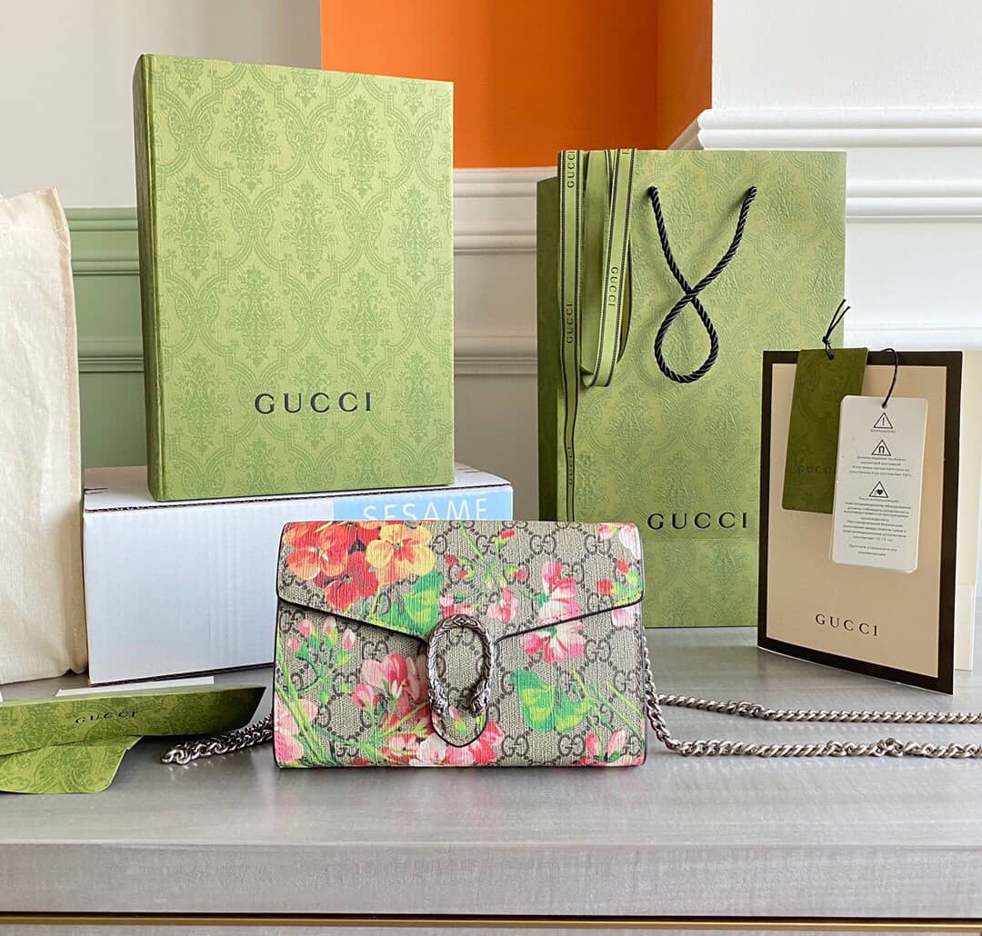 Gvc*1 Dionysus Chain Wallet Shoulder Bag Replica Brown 401231