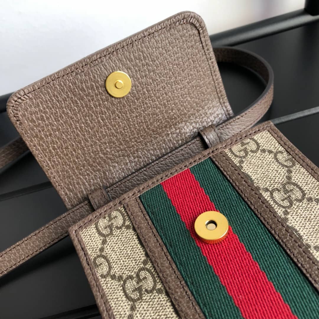 Gvc*1 Ophidia GG Mini Bag Replica Brown 625757