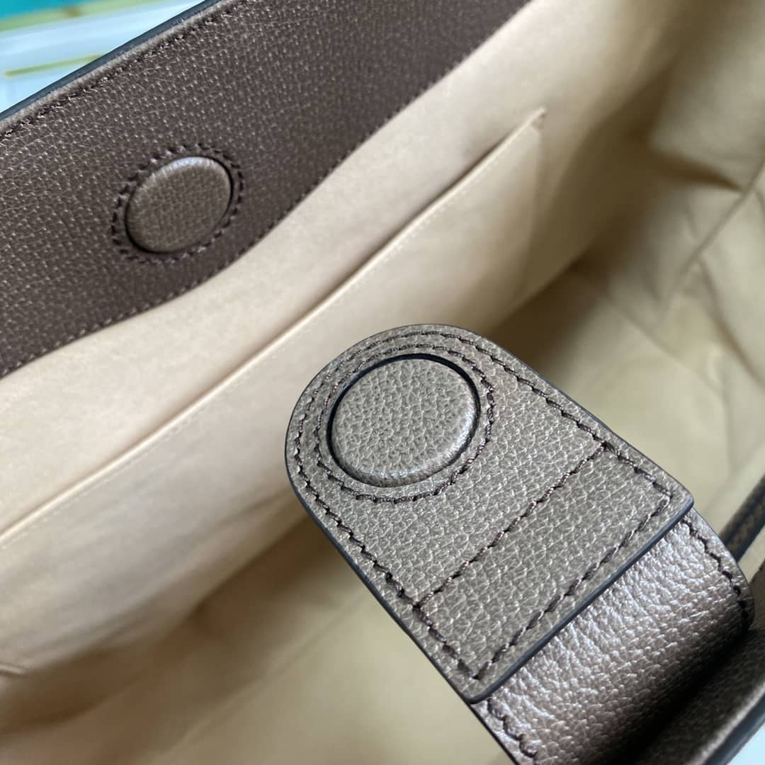 Gvc*1 Ophidia GG Medium Tote Replica 631685