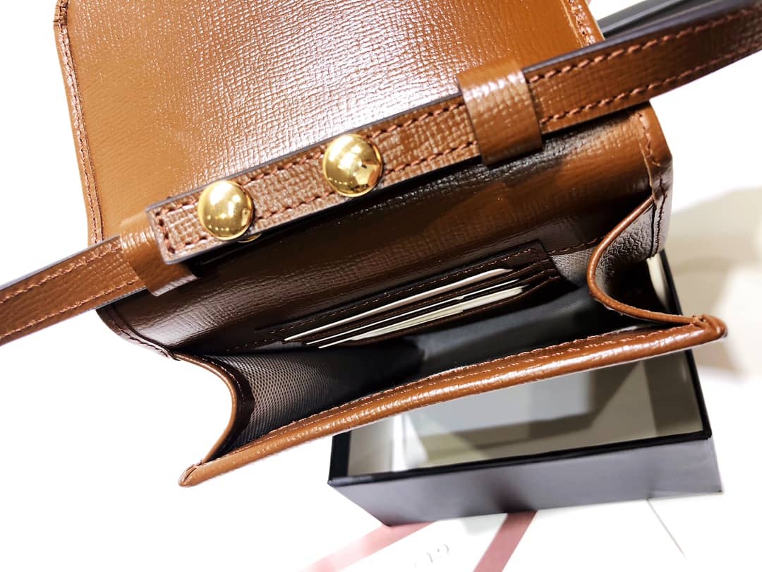 Gvc*1 Ophidia GG Mini Bag Replica Brown 625757