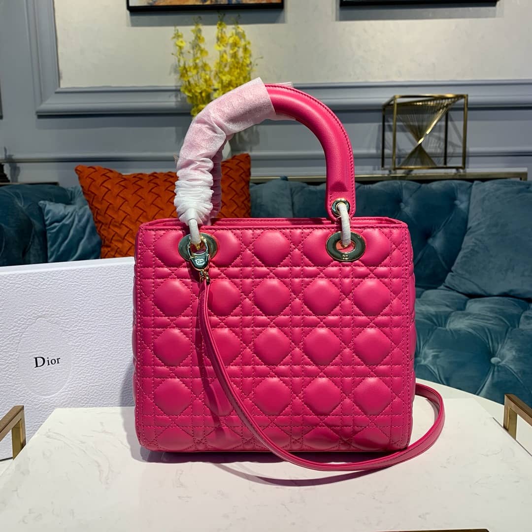 Chr1st1an D10r Lady D10r 24CM Replica Bag