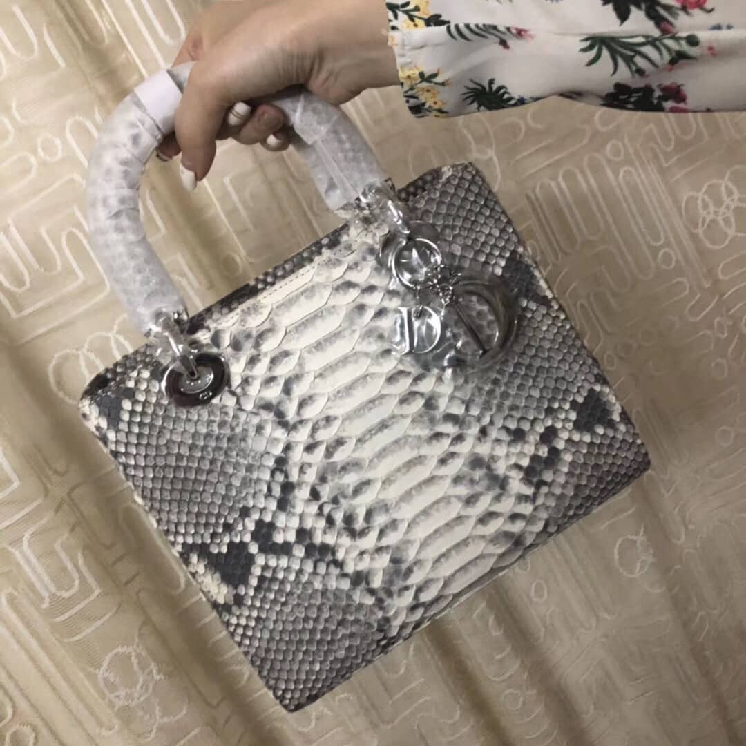 Chr1st1an D10r Lady D10r 24CM Replica Bag