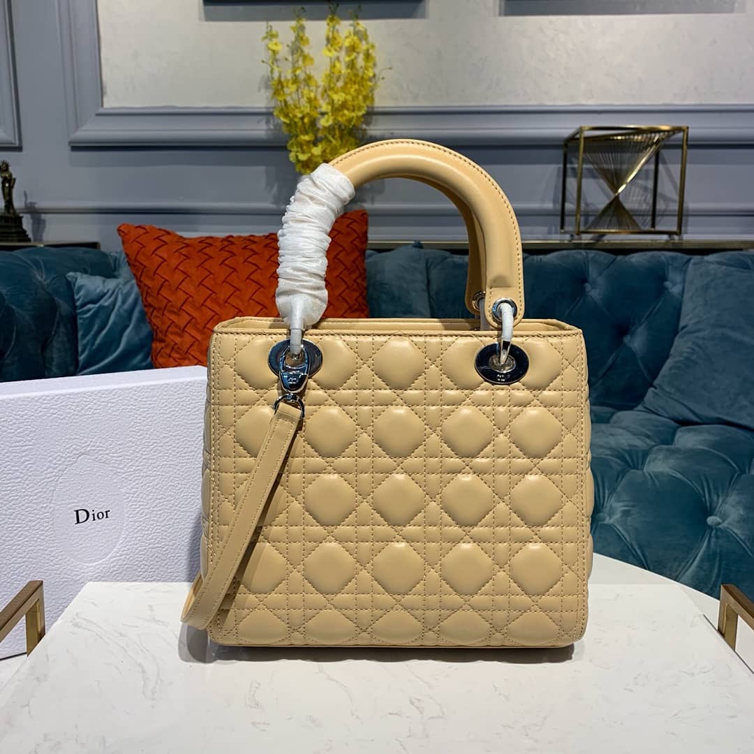 Chr1st1an D10r Lady D10r 24CM Replica Bag