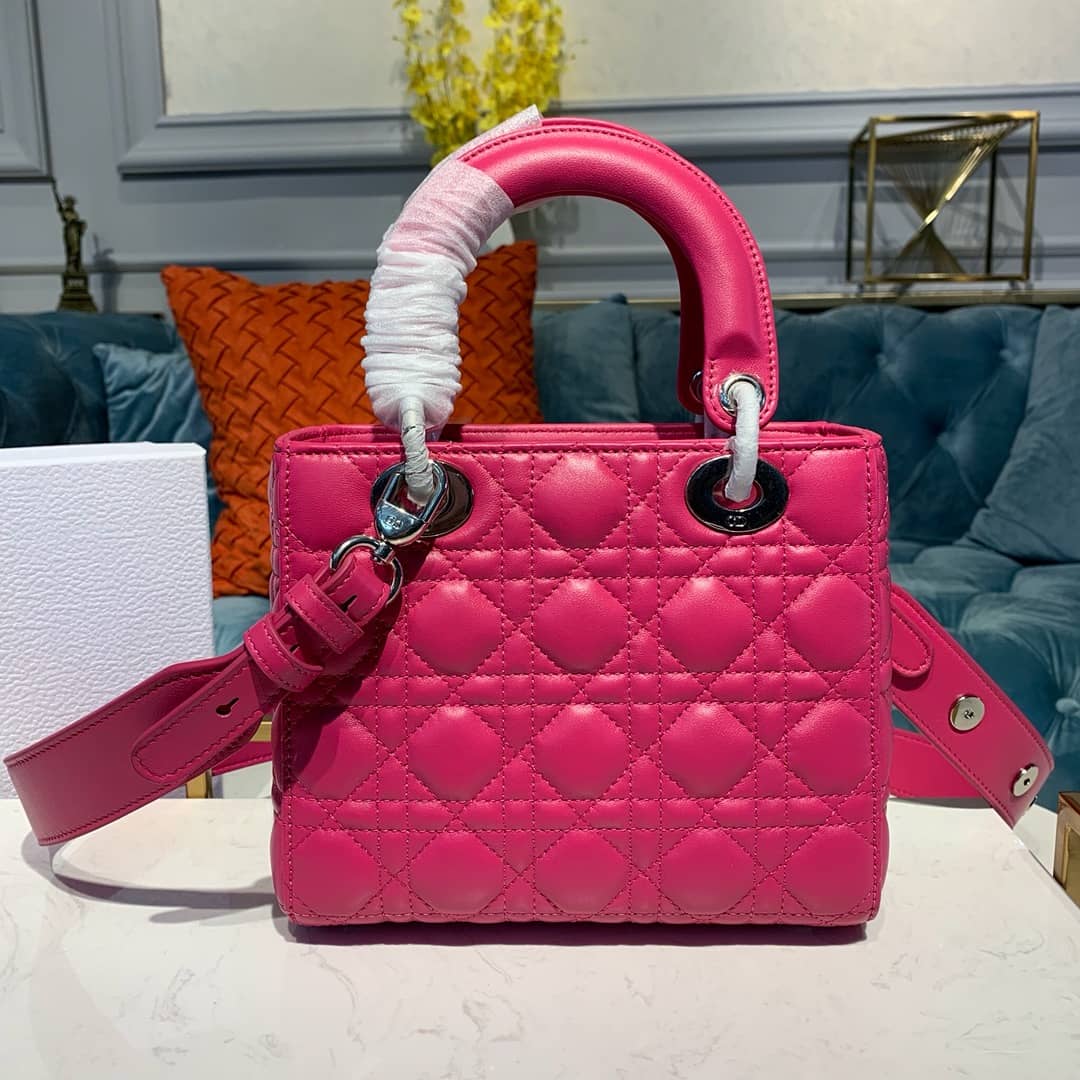 Chr1st1an D10r Lady D10r 20CM Replica Bag