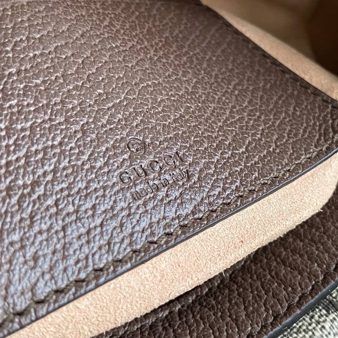 Gvc*1 Ophidia GG Mini Bag Replica 658551