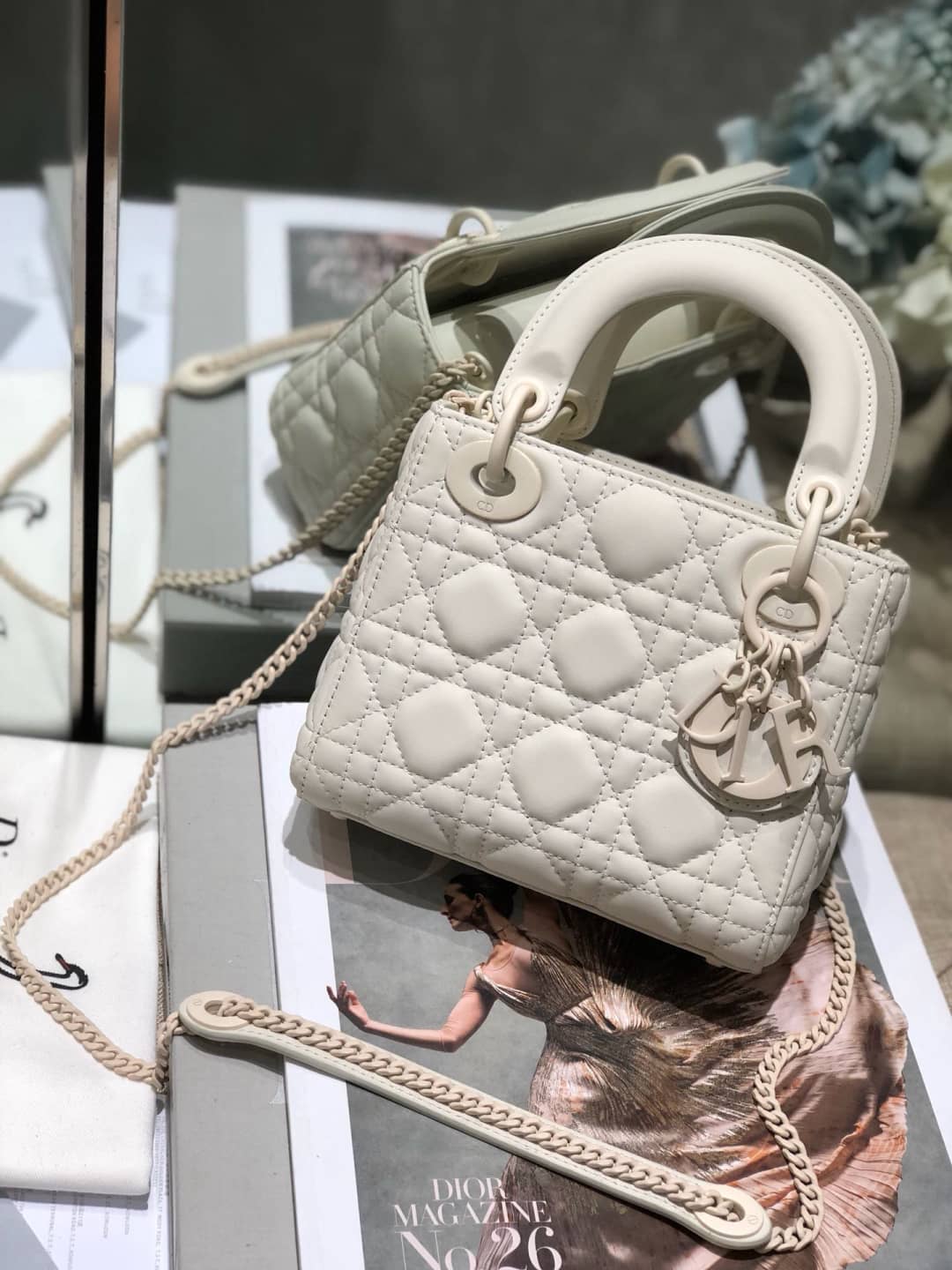 D10r Dupe Lady D10r 17CM Bag