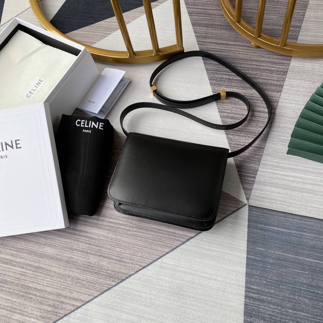 Ce1i*e Bag Dupe Triomphe Teen 18.5CM