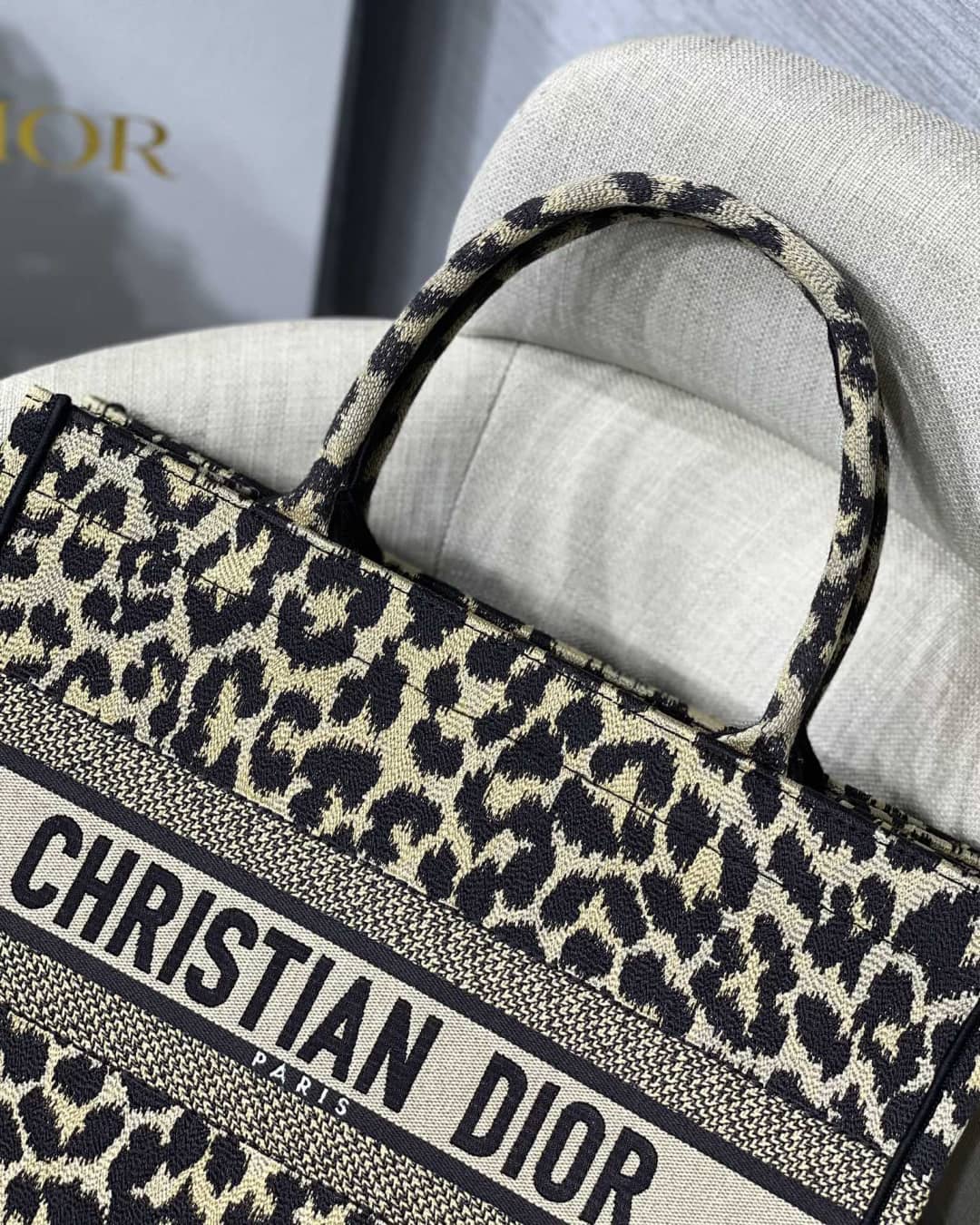 Chr1st1an D10r Tote Bag Dupe CD Book Embroidery