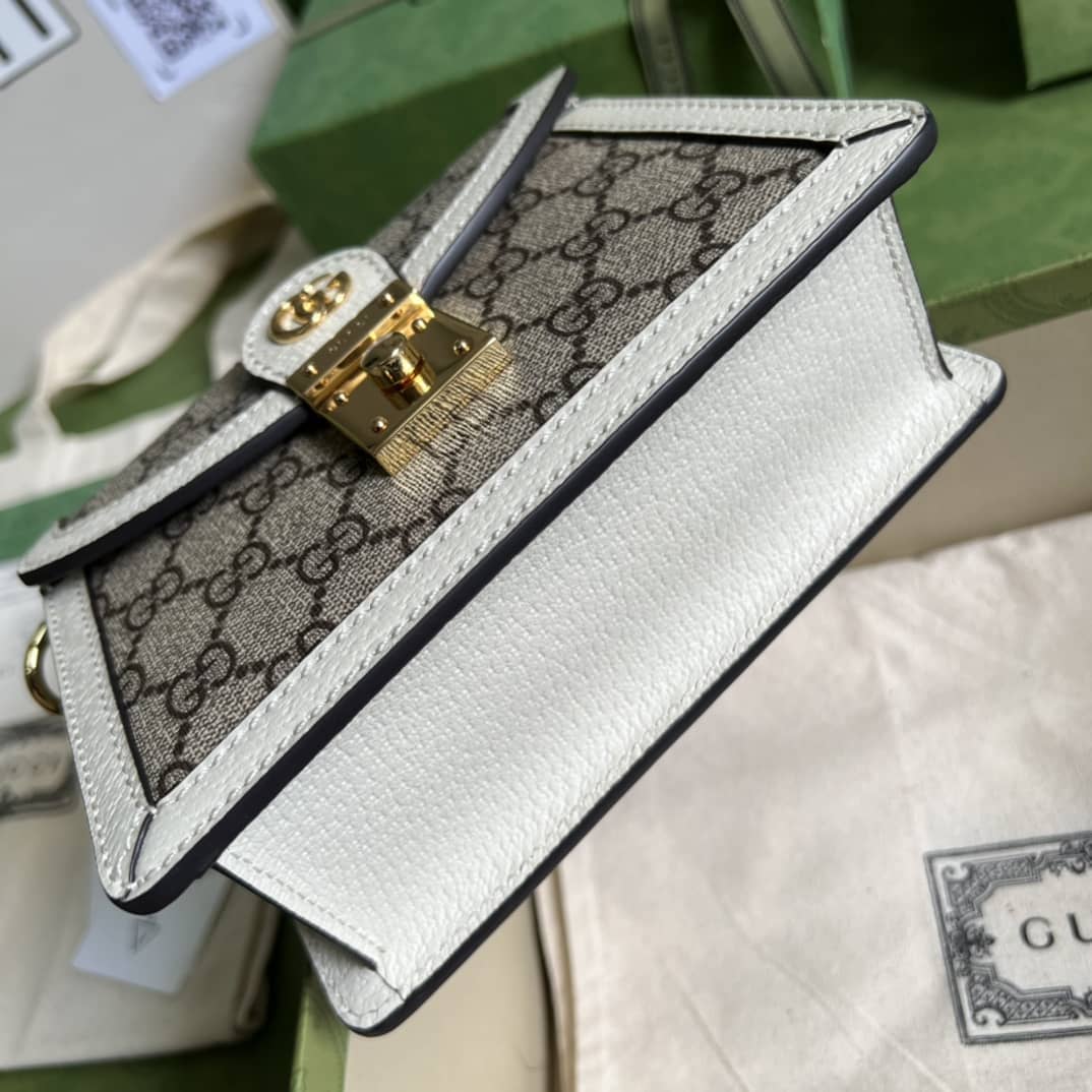 Gvc*1 Ophidia GG Mini Shoulder Crossbody Bag 696180 Replica
