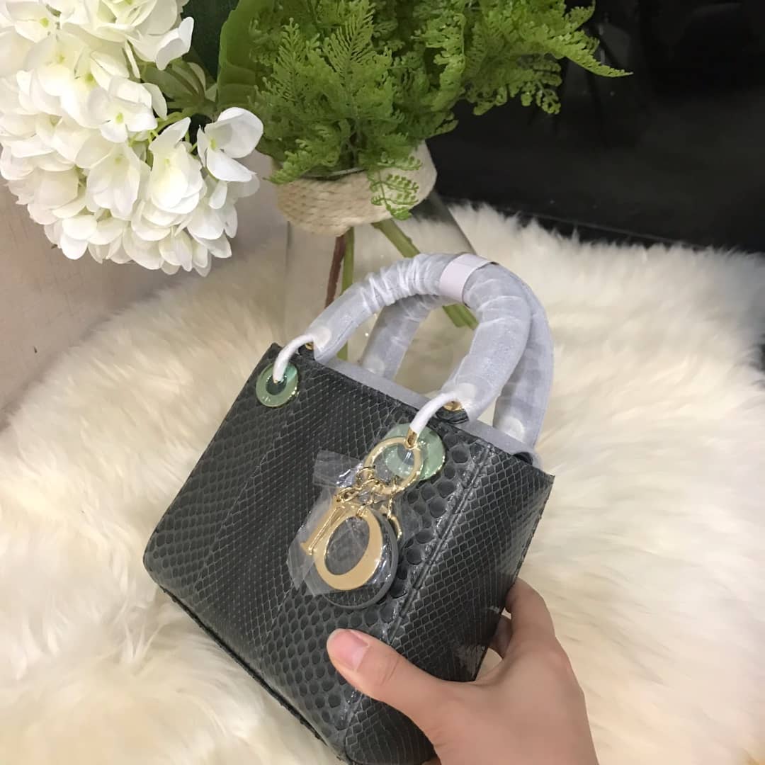 Chr1st1an D10r Lady D10r 17CM Replica Bag