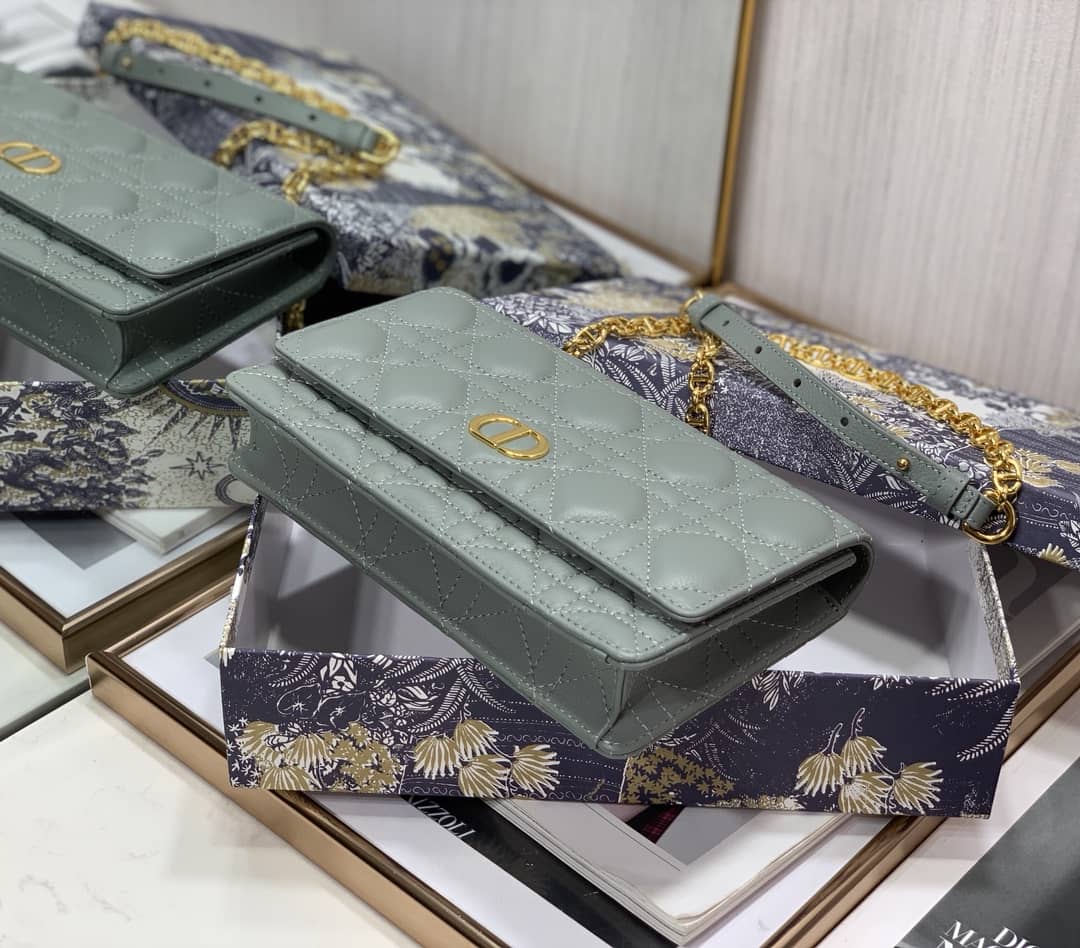 Chr1st1an D10r Caro Chain Belt Replica Pouch