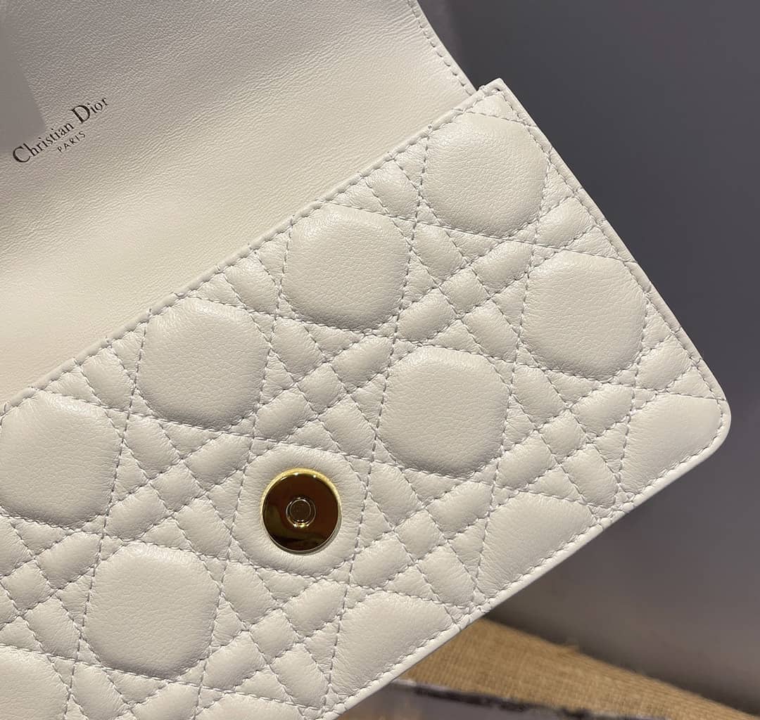 Chr1st1an D10r Caro Chain Belt Replica Pouch