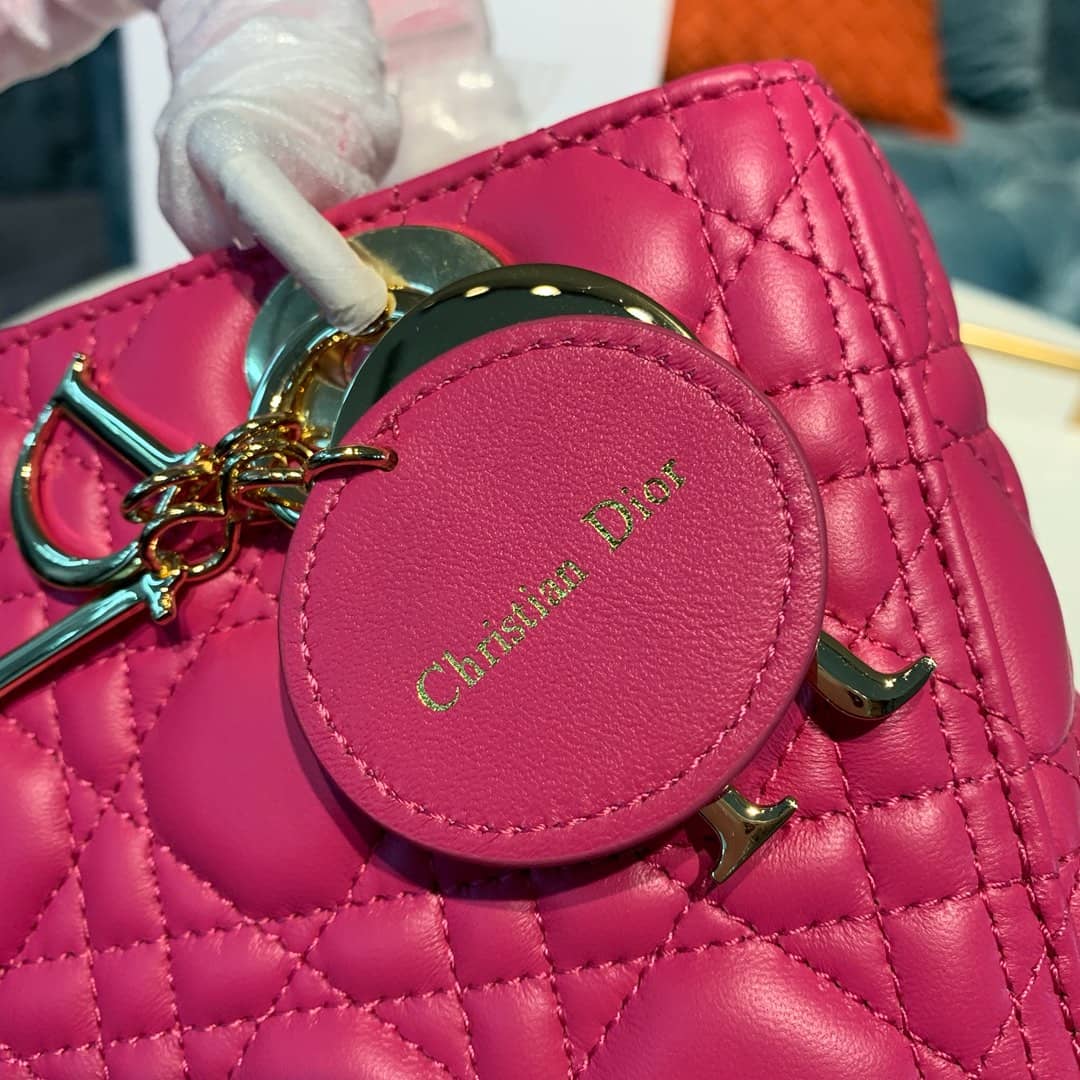 Chr1st1an D10r Lady D10r 24CM Replica Bag