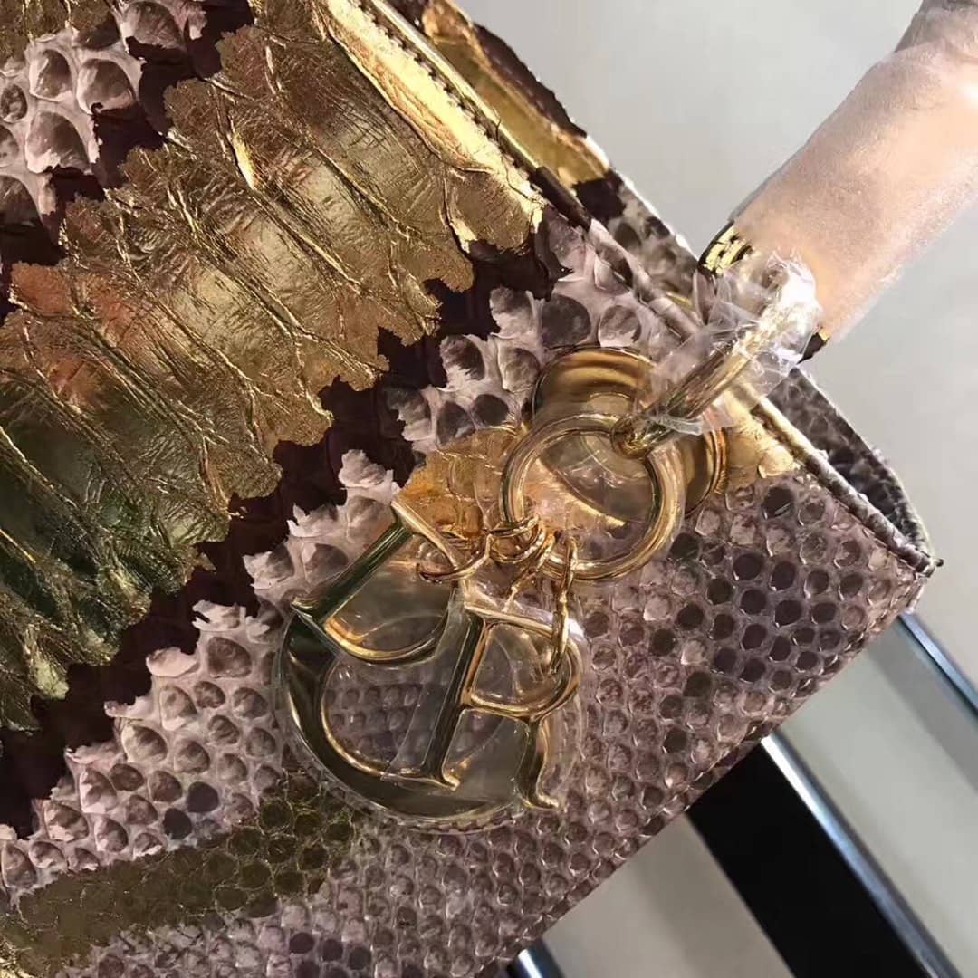 Chr1st1an D10r Lady D10r 24CM Replica Bag