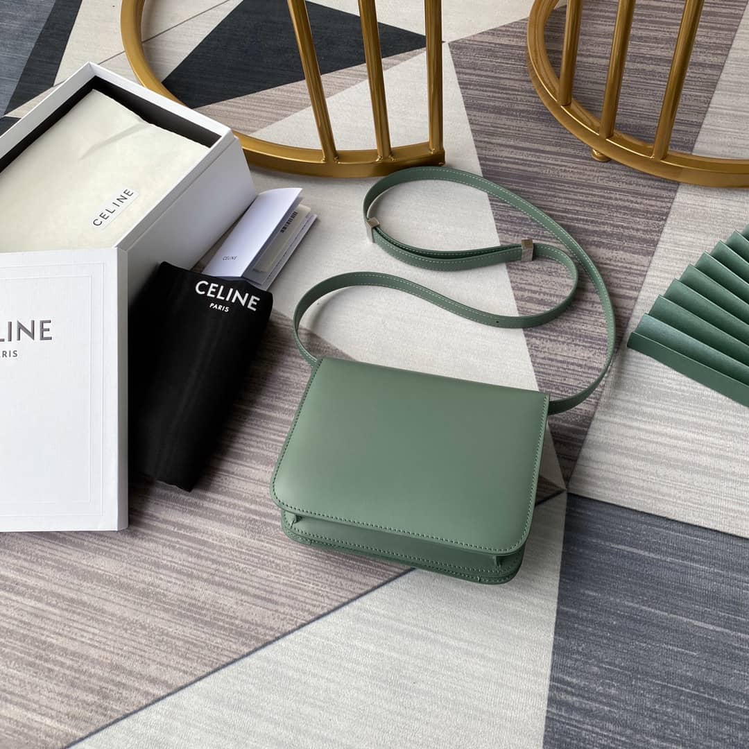 Ce1i*e Bag Dupe Triomphe Teen 18.5CM