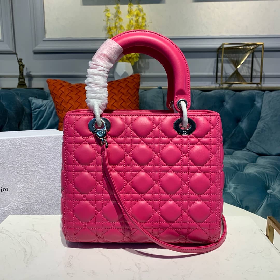 Chr1st1an D10r Lady D10r 24CM Replica Bag