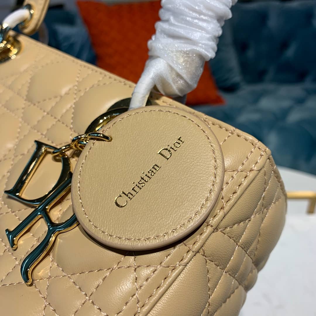 Chr1st1an D10r Lady D10r 24CM Replica Bag