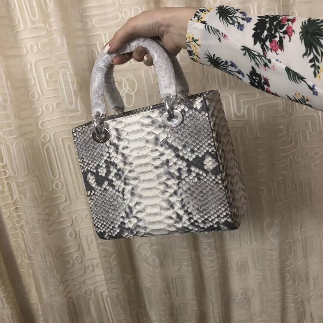 Chr1st1an D10r Lady D10r 24CM Replica Bag