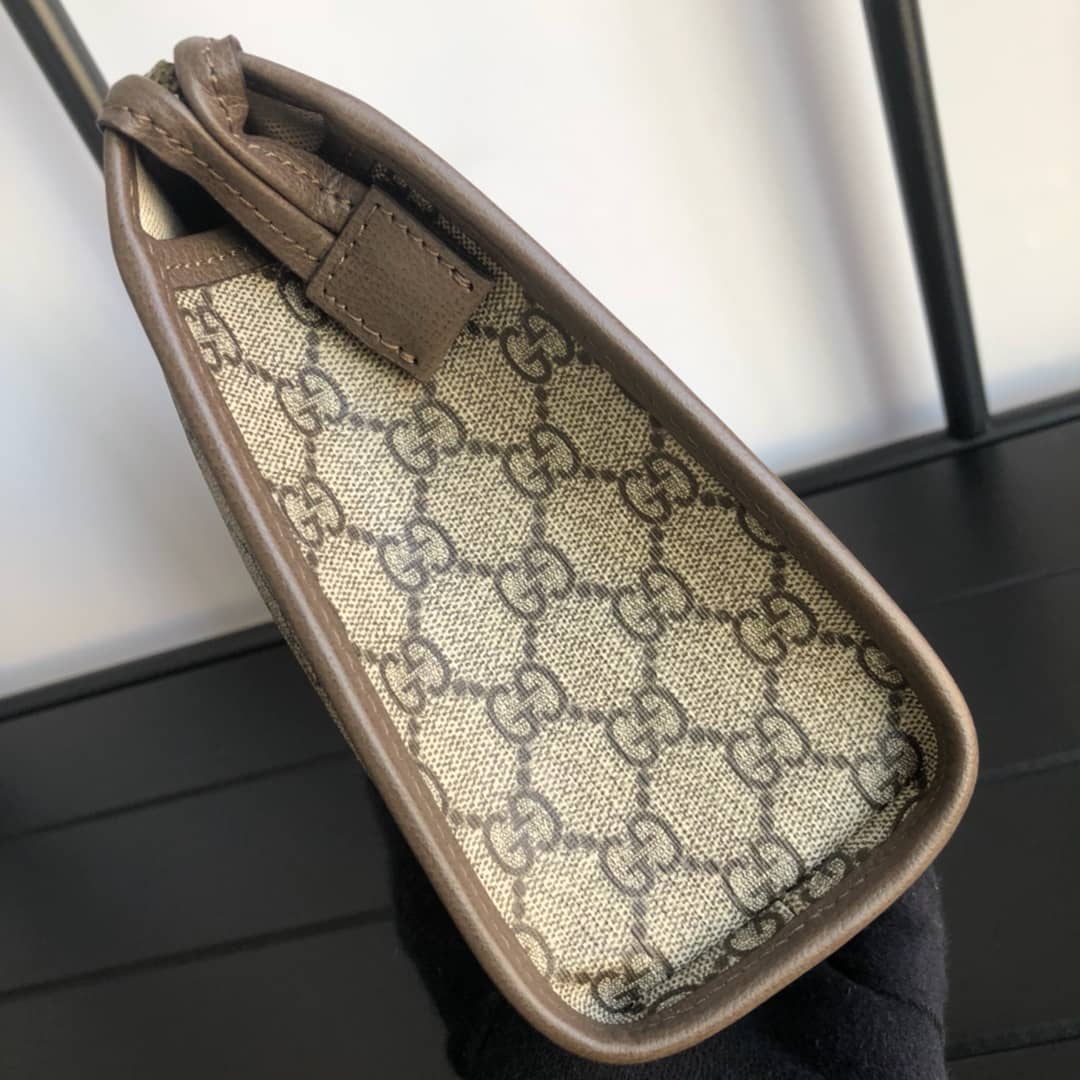 Gvc*1 Unisex Ophidia GG Pouch Replica 598234