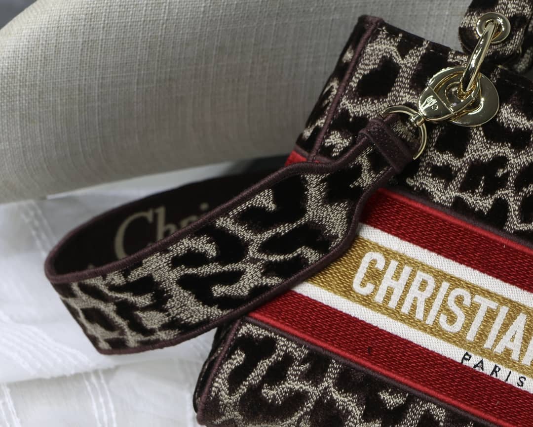 Lady D10r Dupe 24CM Paisley Embroidery Lady D-Lite Bag(ColaReps)