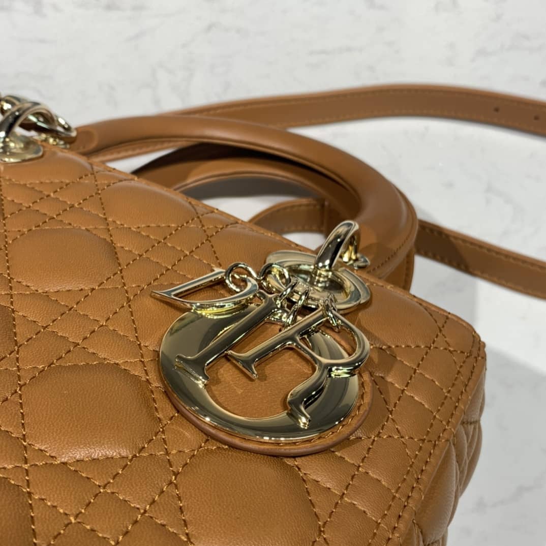 Lady D10r Dupe 24CM Replica Bag(Cola)