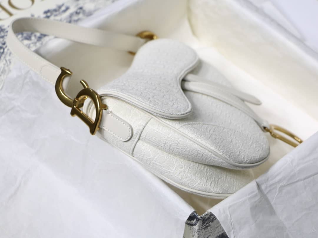 Chr1st1an D10r Saddle 25.5CM Replica Bag