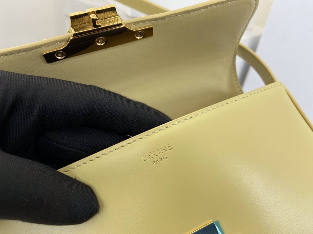 Ce1i*e Bag Dupe Triomphe Teen 20CM