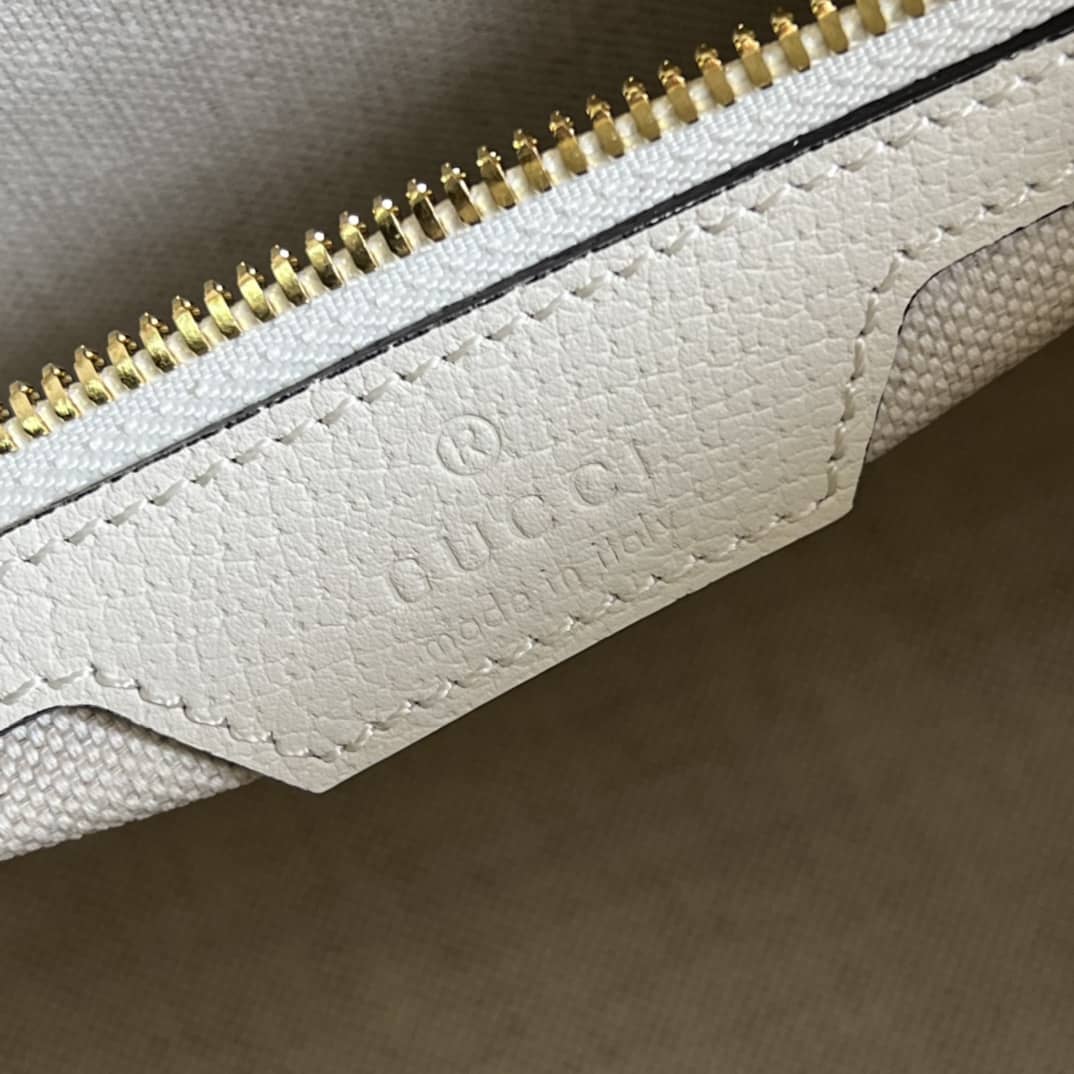 Gvc*1 Ophidia Large 674096 Replica Crossbody Bag