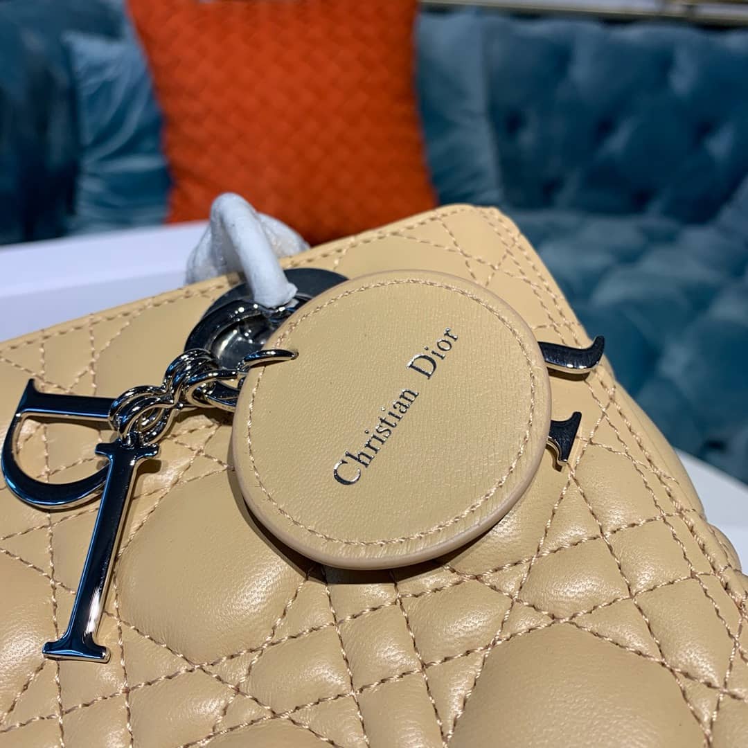 Chr1st1an D10r Lady D10r 24CM Replica Bag