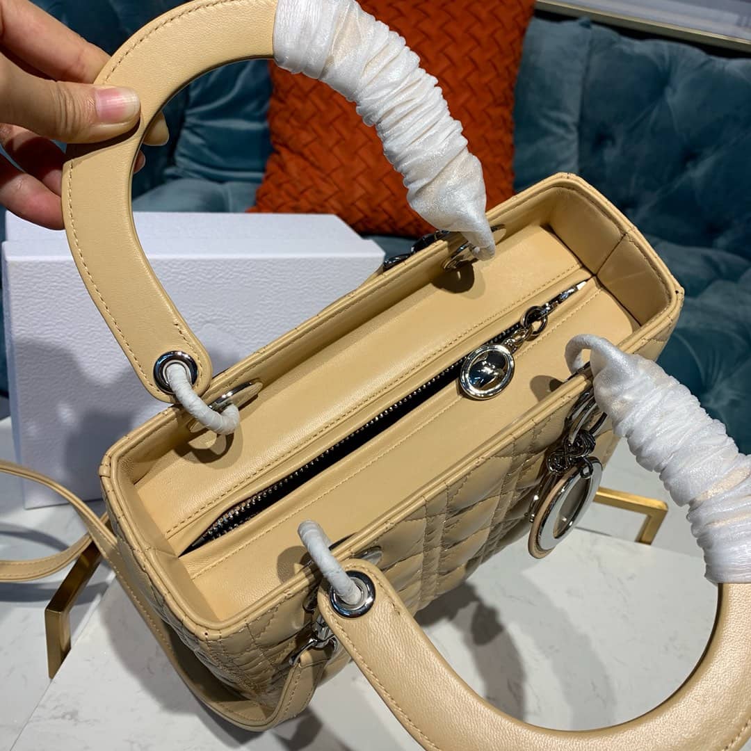 Chr1st1an D10r Lady D10r 24CM Replica Bag