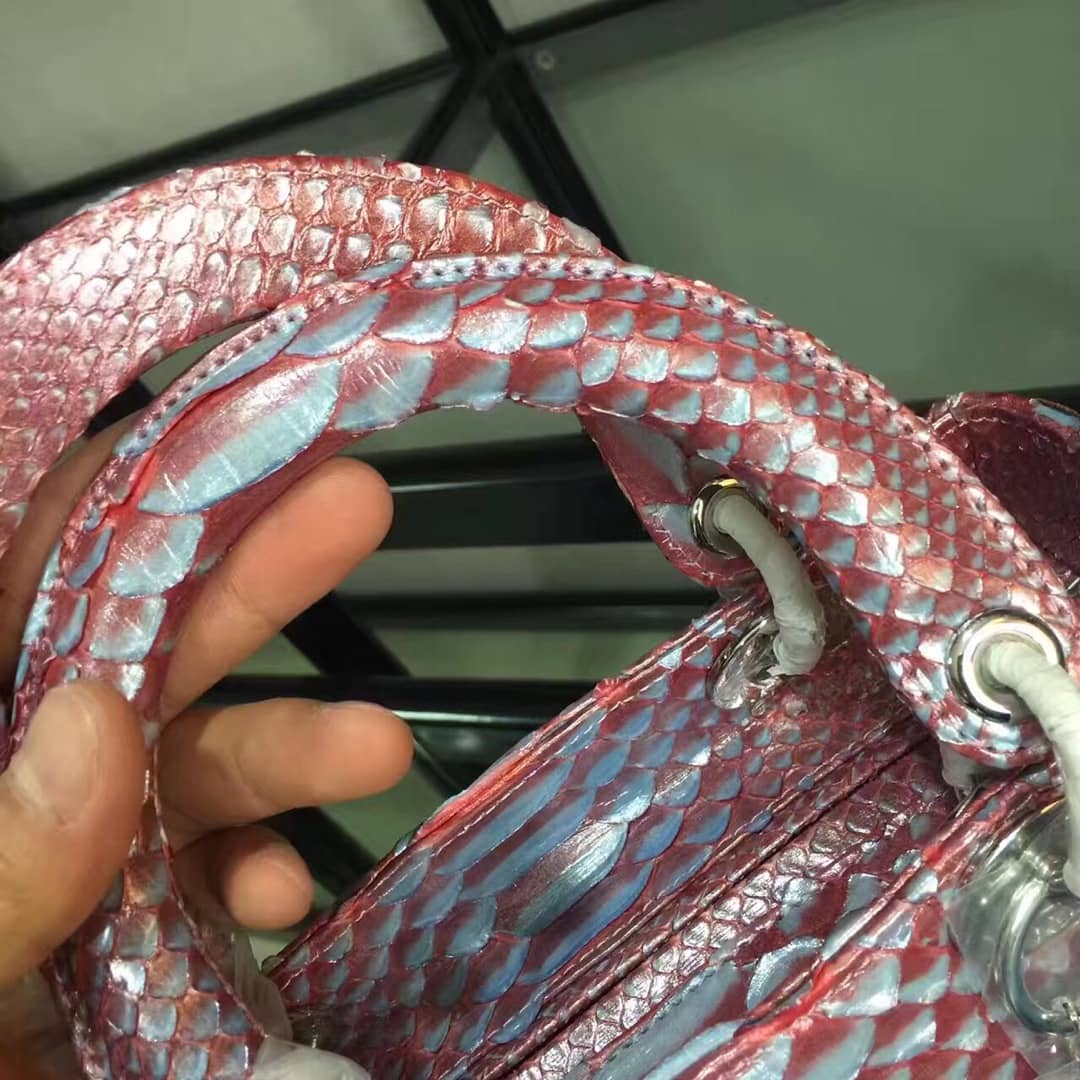 Chr1st1an D10r Lady D10r 24CM Replica Bag