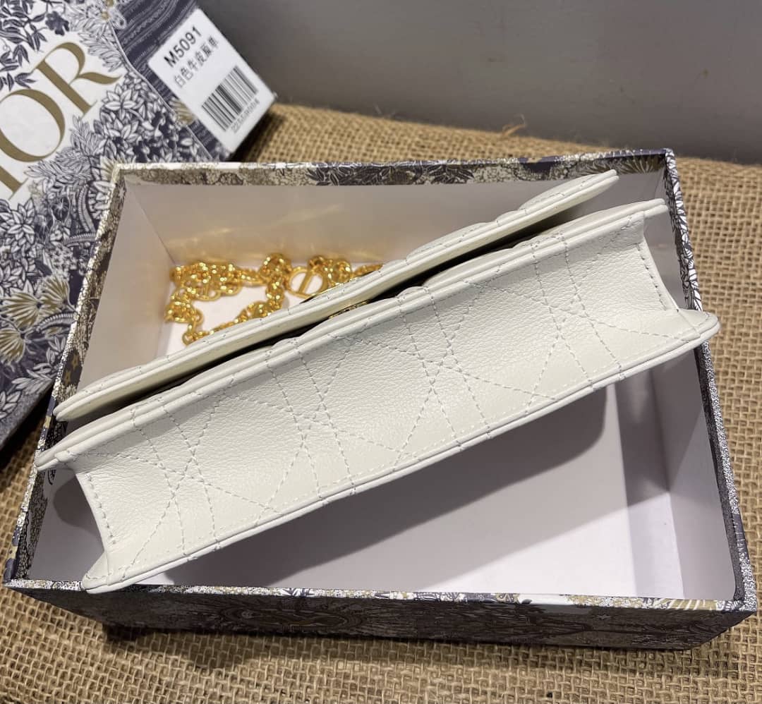 Chr1st1an D10r Caro Chain Belt Replica Pouch