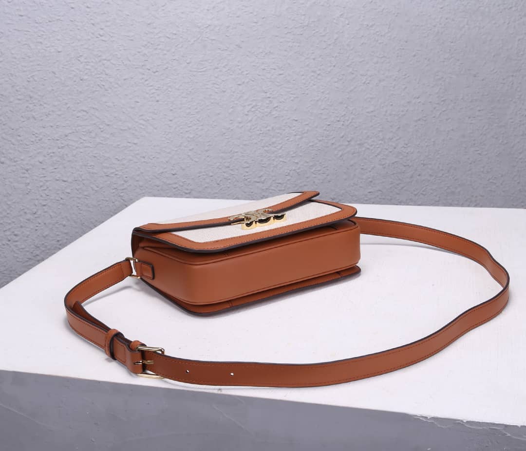 Ce1i*e Bag Dupe Triomphe Teen 22cm