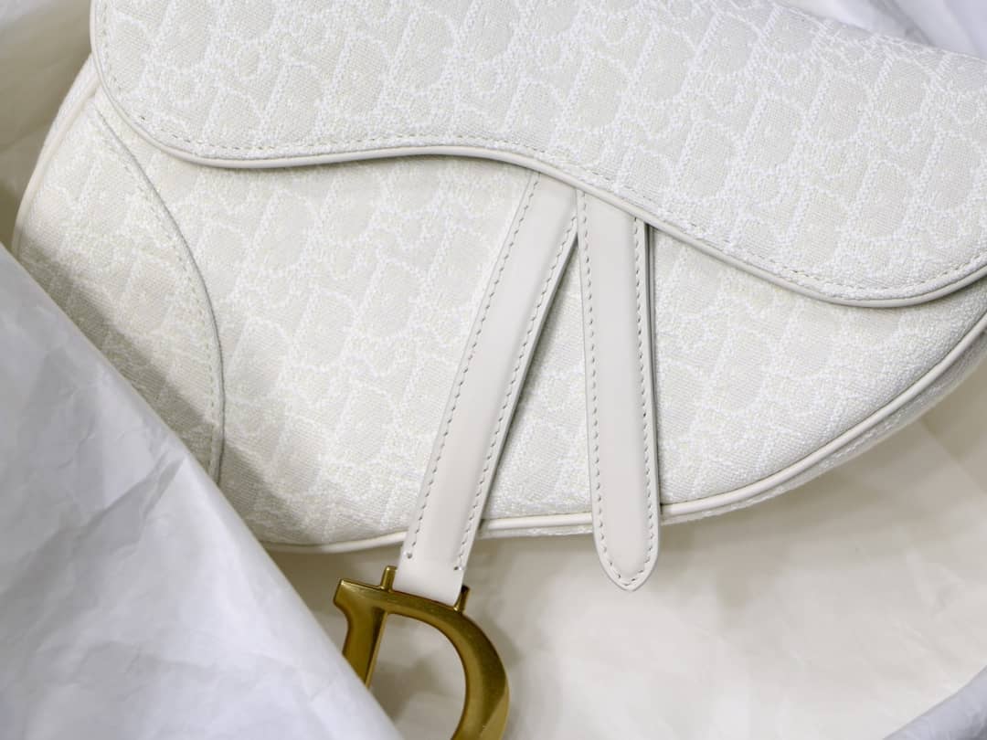 Chr1st1an D10r Saddle 25.5CM Replica Bag